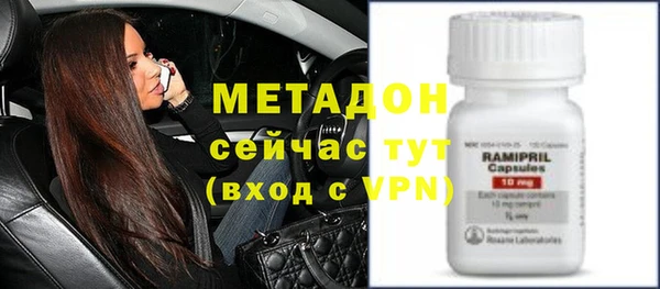сатива Аркадак