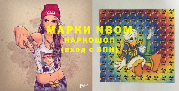 сатива Аркадак