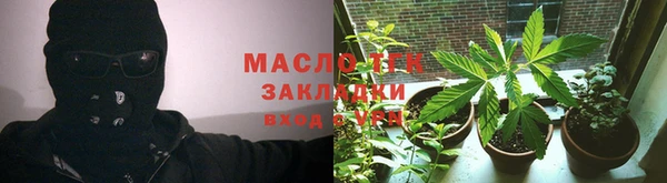 сатива Аркадак