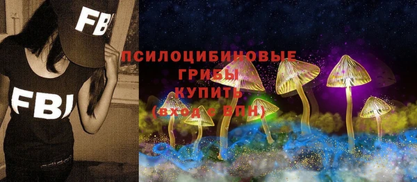 ГАЛЛЮЦИНОГЕННЫЕ ГРИБЫ Армянск