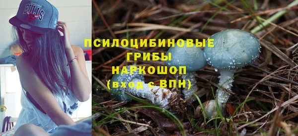 а пвп мука Арсеньев