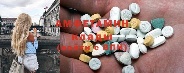 сатива Аркадак