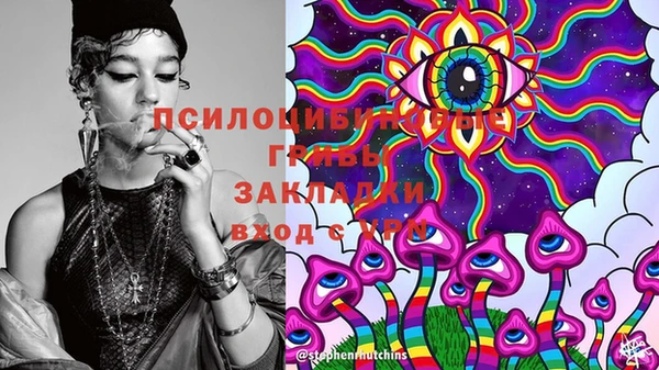 сатива Аркадак